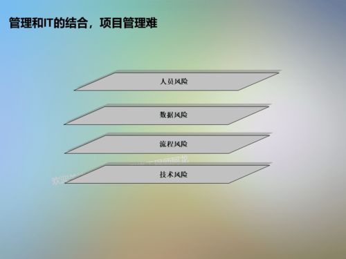 IT信息系统项目咨询方法论 软件工程视角下的关键路径与实践指南